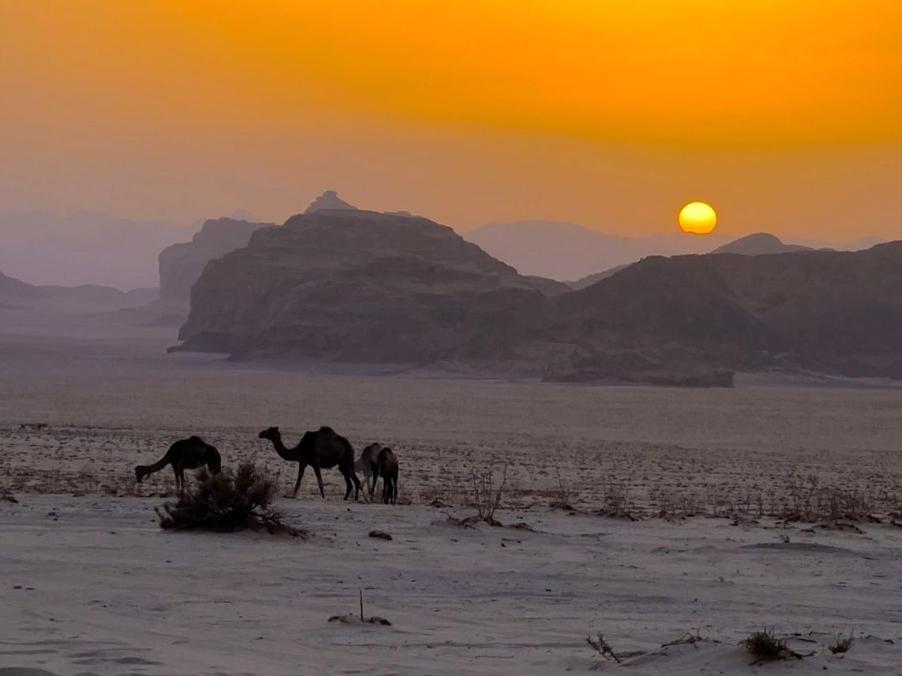 White Desert Camp Вади Рум Екстериор снимка